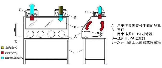  Ⅲ級生物安全柜工作原理示意圖
